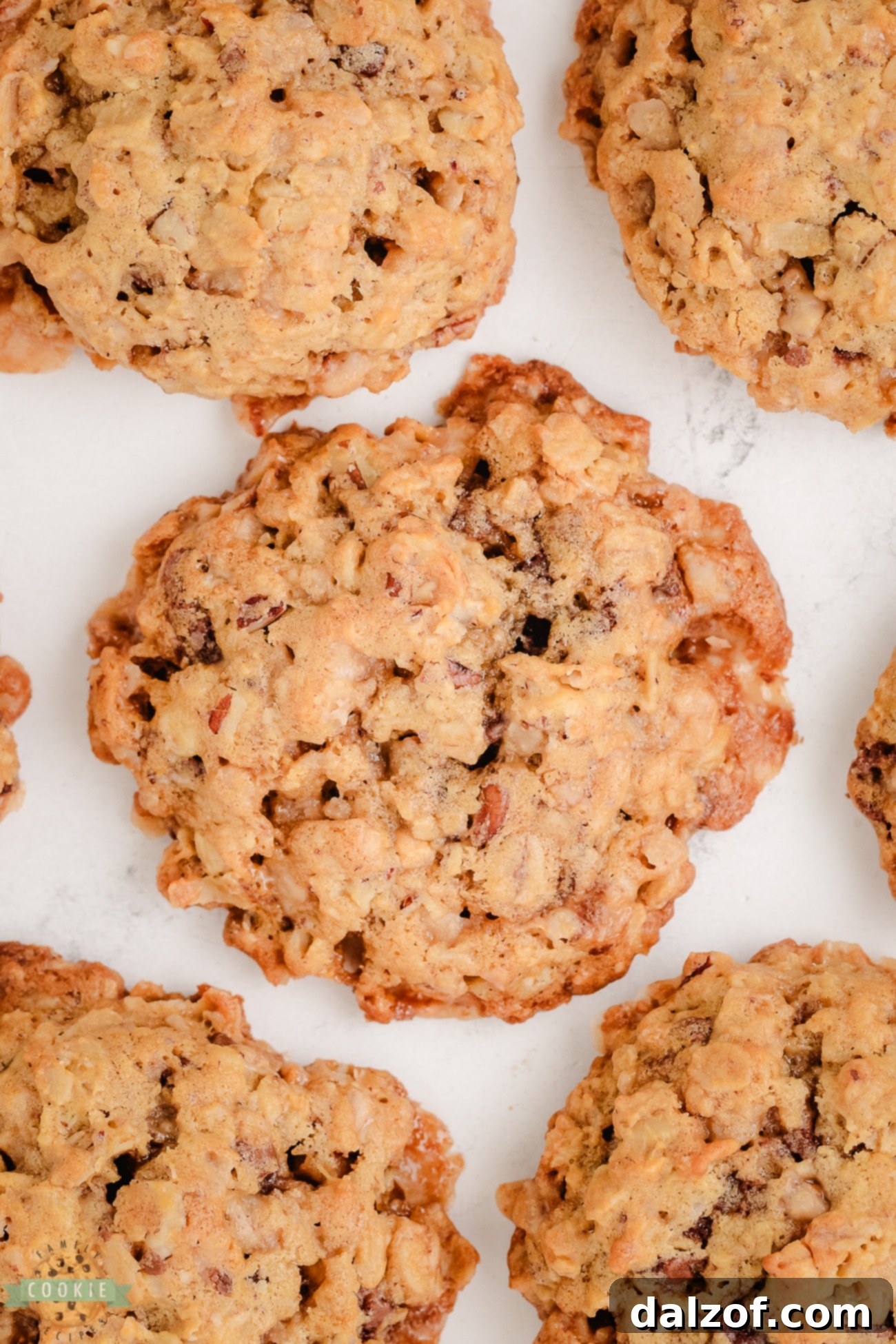 A fresh batch of Oatmeal Toffee Pecan Cookies cooling on a baking sheet, showcasing their golden-brown edges
