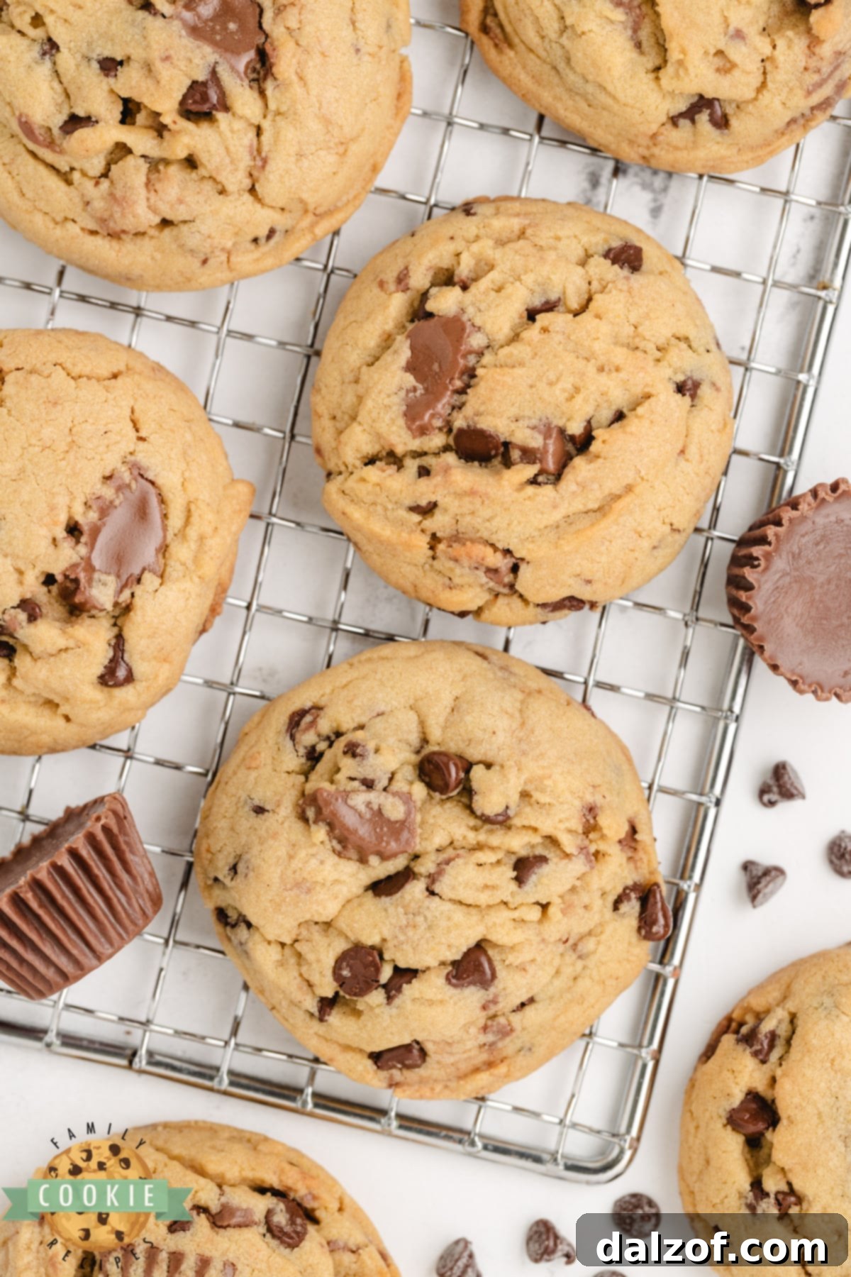 Ultimate Reese Peanut Butter Pudding Cookies 15 Peanut butter cookie recipe with chocolate chips and peanut butter cups. A beautifully arranged plate of freshly baked cookies, highlighting their golden edges and abundant mix-ins.