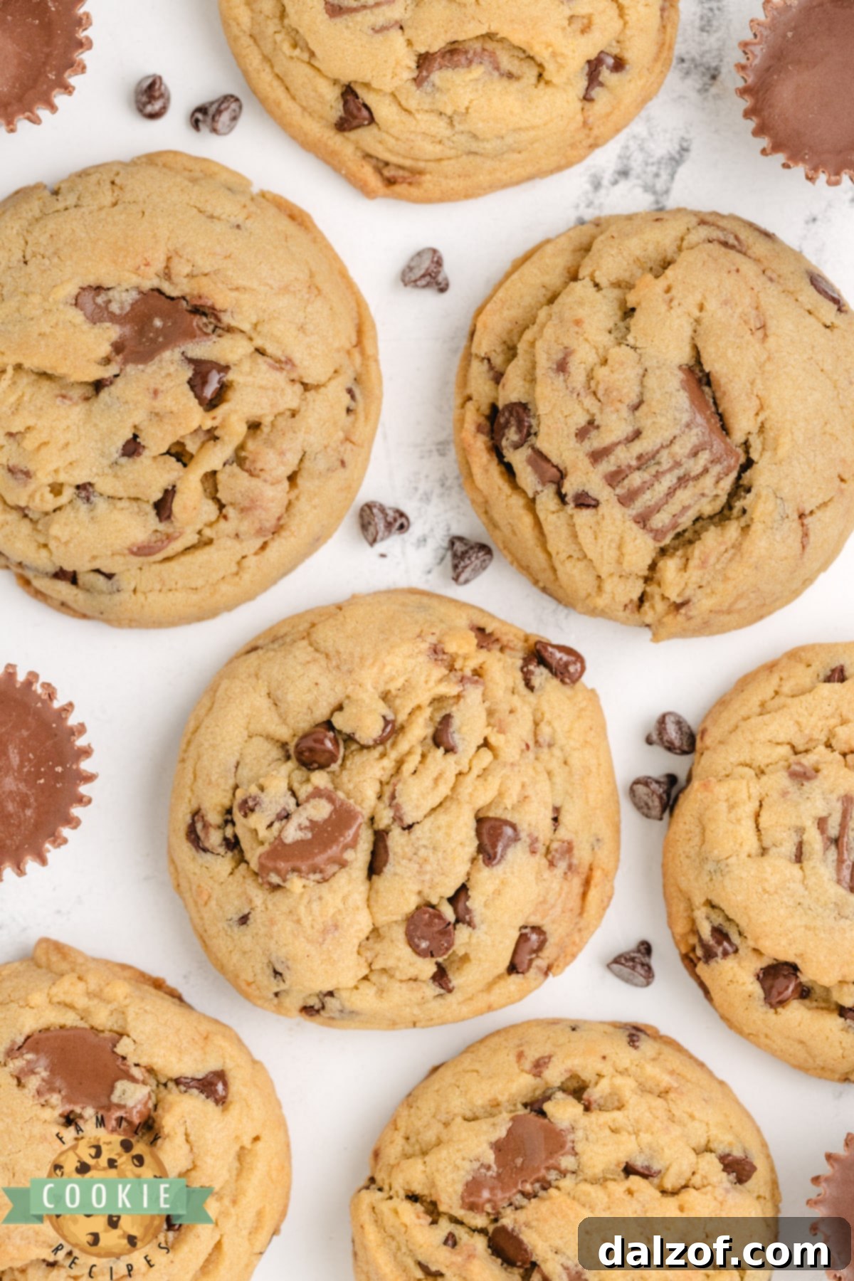 Ultimate Reese Peanut Butter Pudding Cookies 17 Reese's Peanut Butter Pudding Cookies are soft and chewy peanut butter cookies made with vanilla pudding mix and chunks of Reese's peanut butter cups too! A close-up of a single cookie with visible chunks.