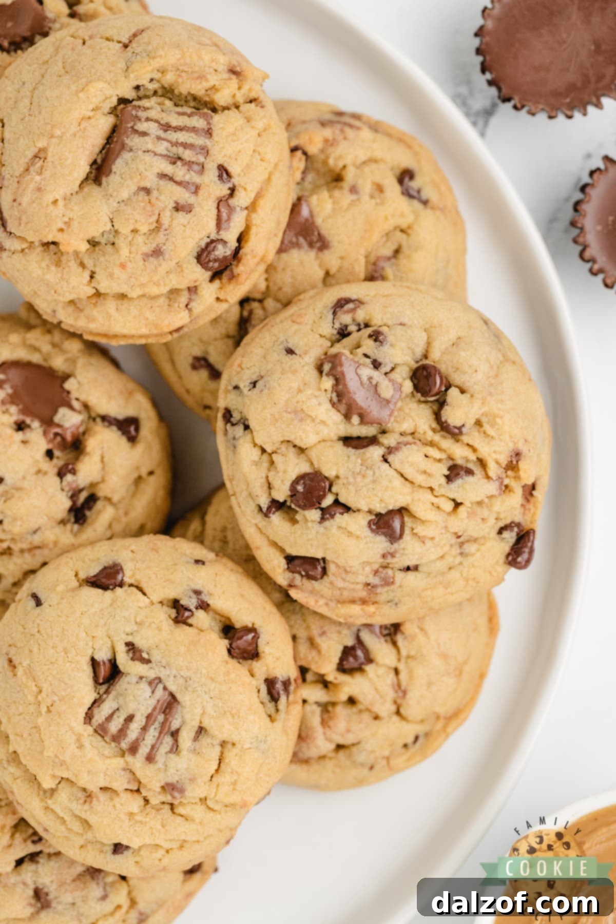 Ultimate Reese Peanut Butter Pudding Cookies 4 Soft and chewy peanut butter cookies. A plate of golden-brown cookies, some broken to show their soft interior and visible chocolate chips and peanut butter cup pieces.