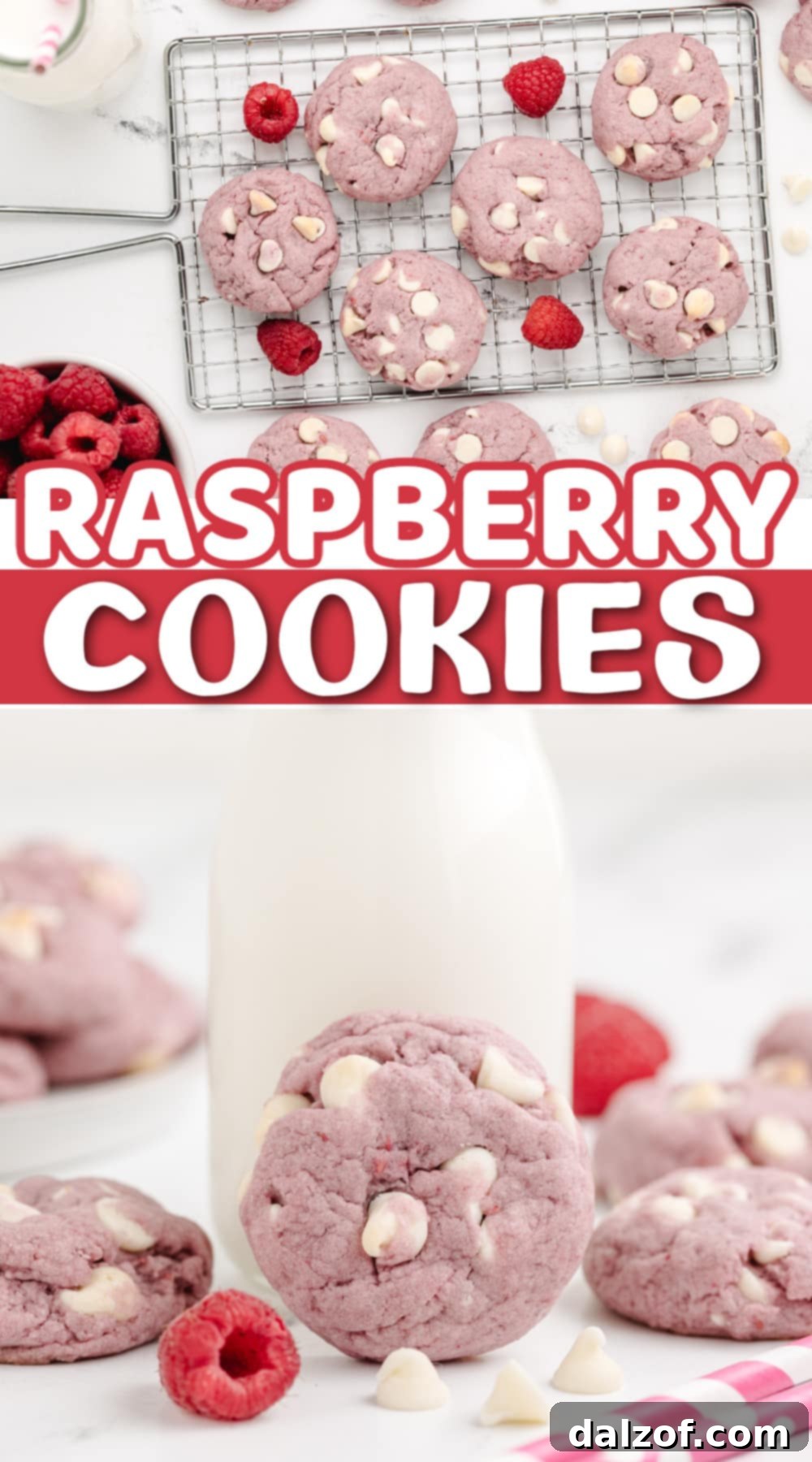 A stunning shot of Raspberry Cookies with white chocolate chips, emphasizing their perfect texture and inviting appearance.