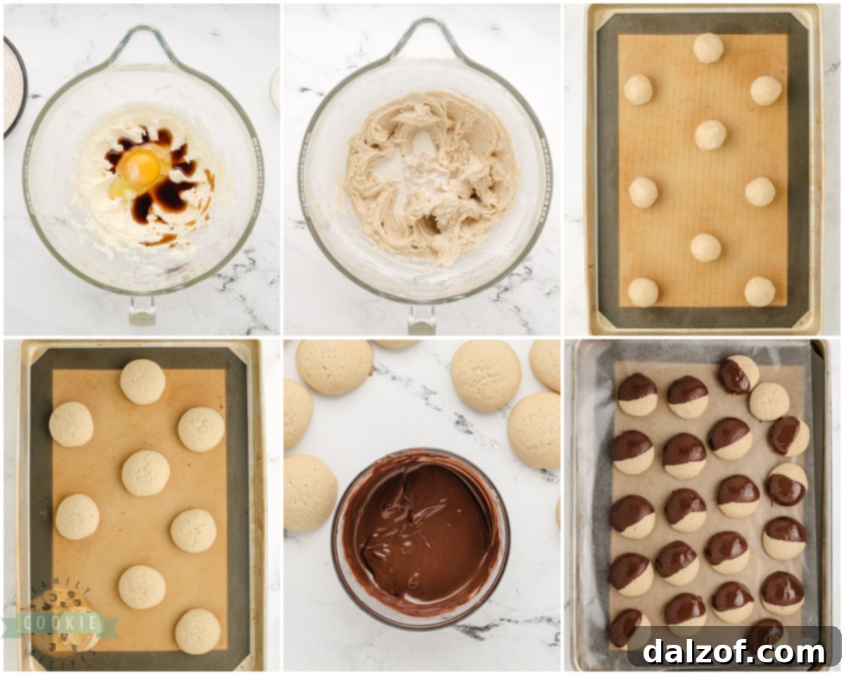 how to make chocolate dipped vanilla cookies
