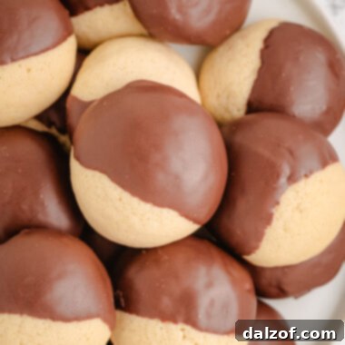 chocolate dipped vanilla cookies