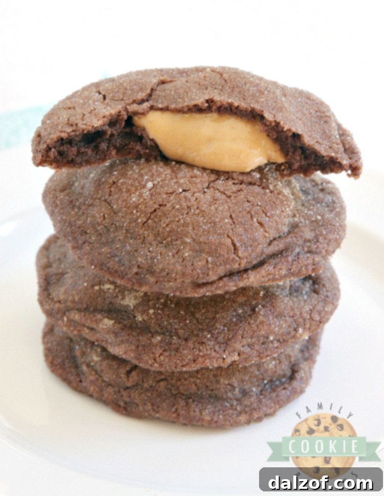 Soft and chewy Buckeye Cookies with a rich chocolate exterior and a creamy peanut butter filling, perfect for any occasion.