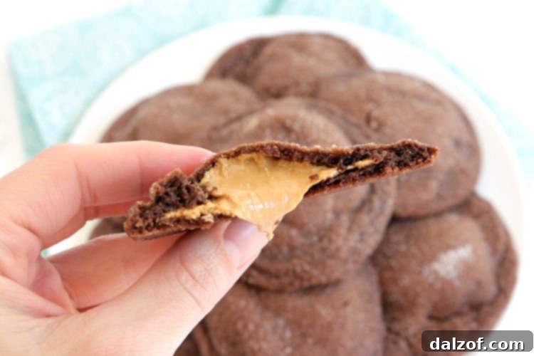Close-up of a chocolate cookie with a creamy peanut butter filling oozing out, highlighting the delicious texture contrast.