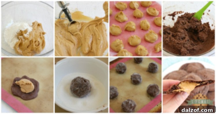 Ingredients laid out for making Buckeye Cookies, showcasing the simplicity of the recipe.