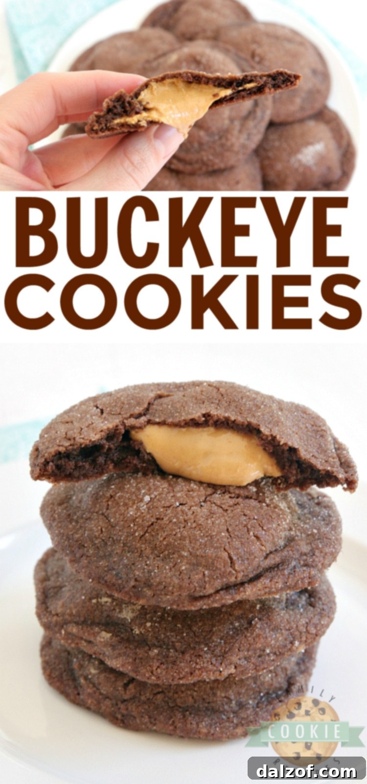 A plate of freshly baked Buckeye Cookies, ready to be devoured, highlighting their homemade appeal.
