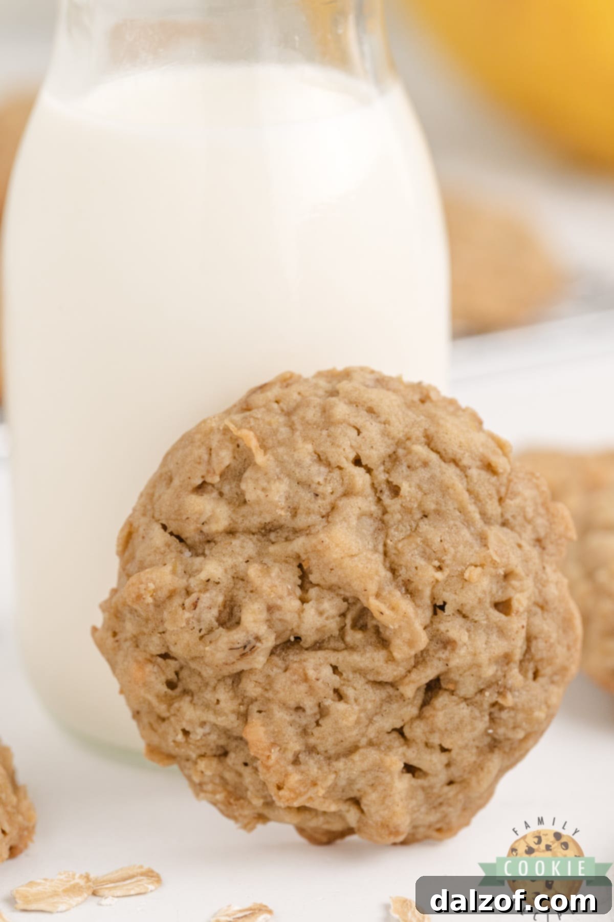 Wholesome Banana Oat Bliss 14 Close-up of a Banana Oatmeal Cookie, showing its soft and chewy texture