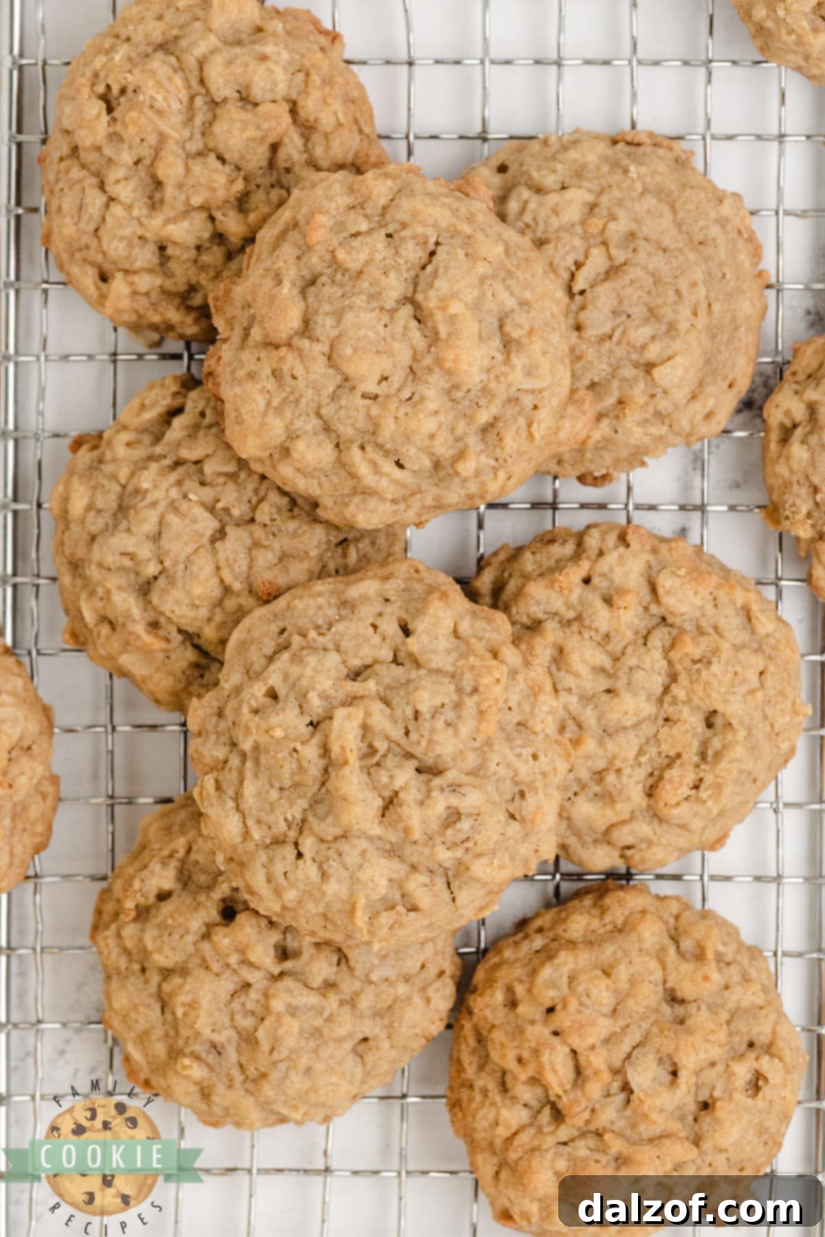 Wholesome Banana Oat Bliss 15 Freshly baked Banana Oatmeal Cookies cooling on a wire rack