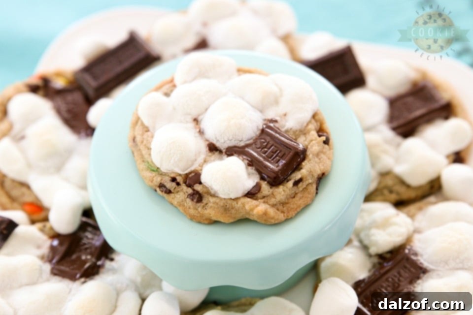 Assortment of Chocolate Chip Cookies