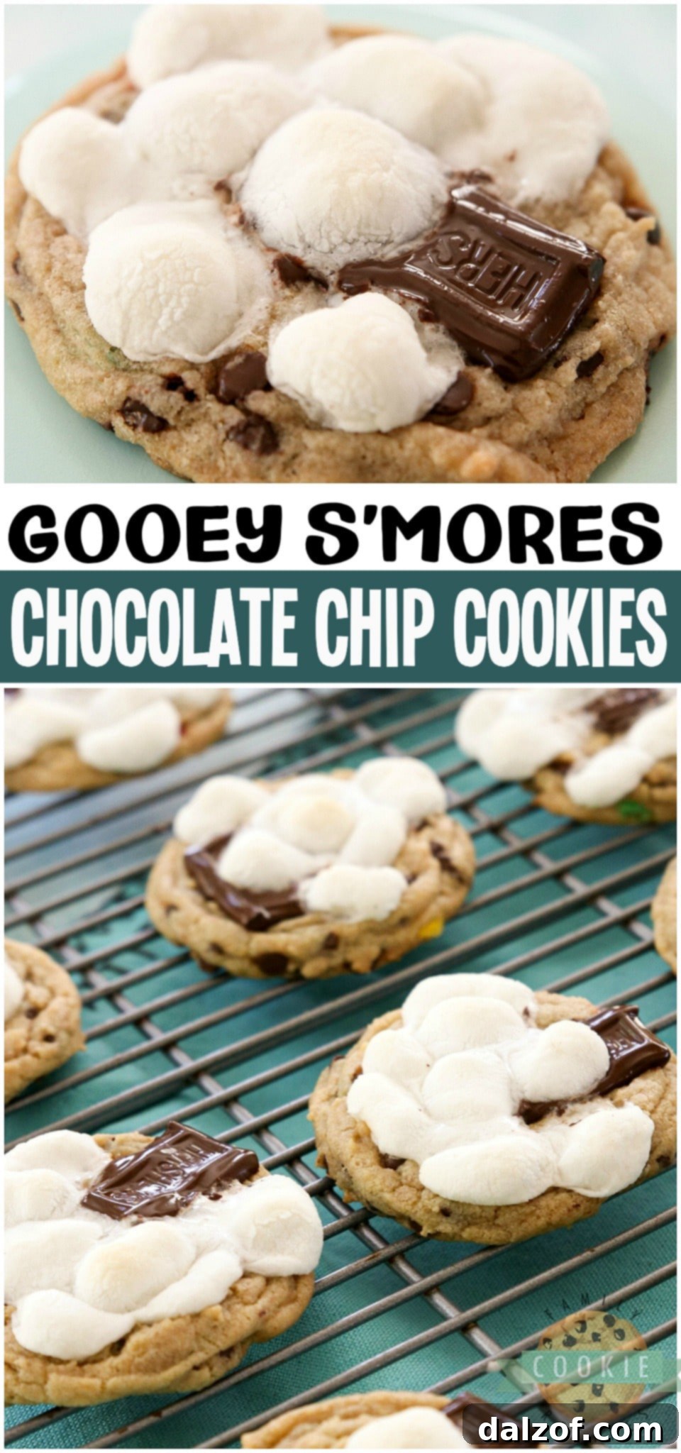S'mores Cookies packed with marshmallow chocolate amazingness! Soft pudding cookies with mini chocolate chips & M&M's topped with marshmallows and a piece of chocolate. Easily the BEST S'mores Cookies EVER!