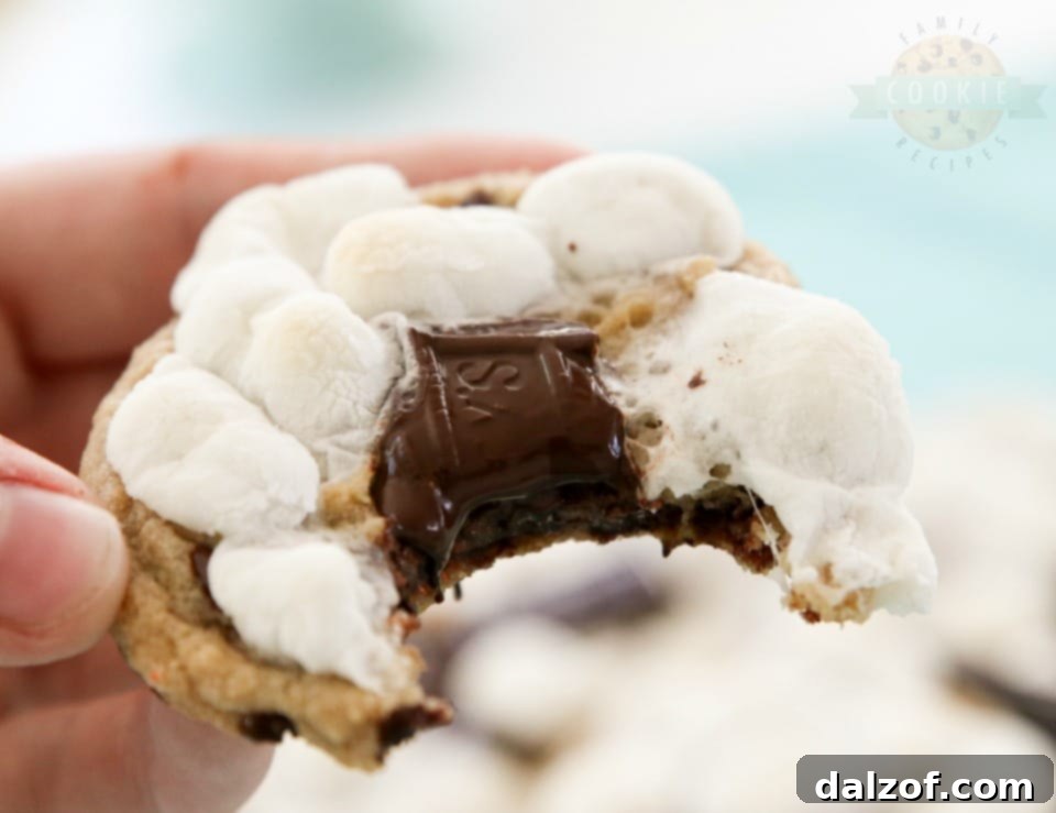 Making S'mores Chocolate Chip Cookies