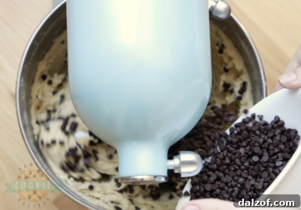 Ingredients for S'mores Chocolate Chip Cookies