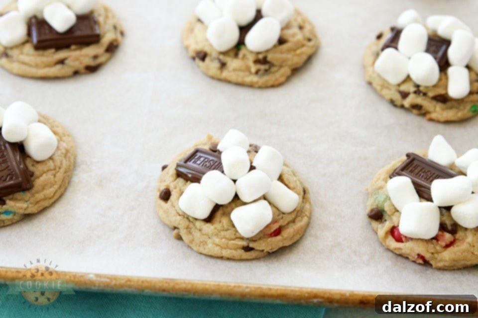 S'mores Chocolate Chip Cookie Dough