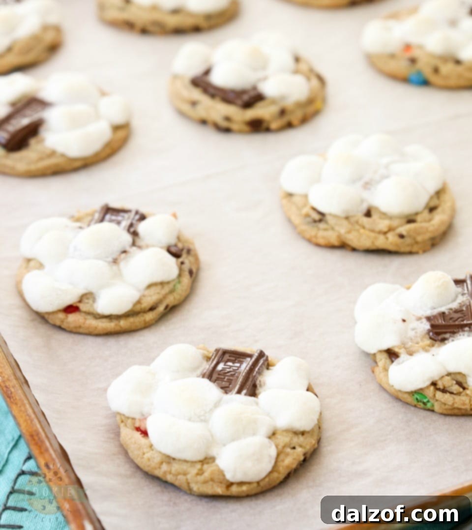 Finished S'mores Chocolate Chip Cookies