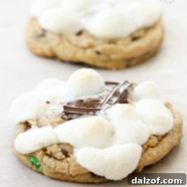 S'mores Cookies with chocolate and marshmallows