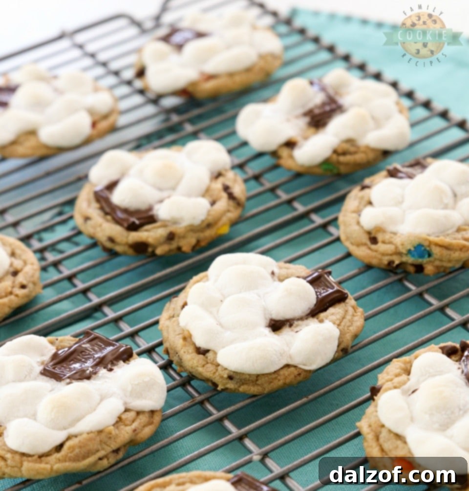 Close-up of S'mores Chocolate Chip Cookie