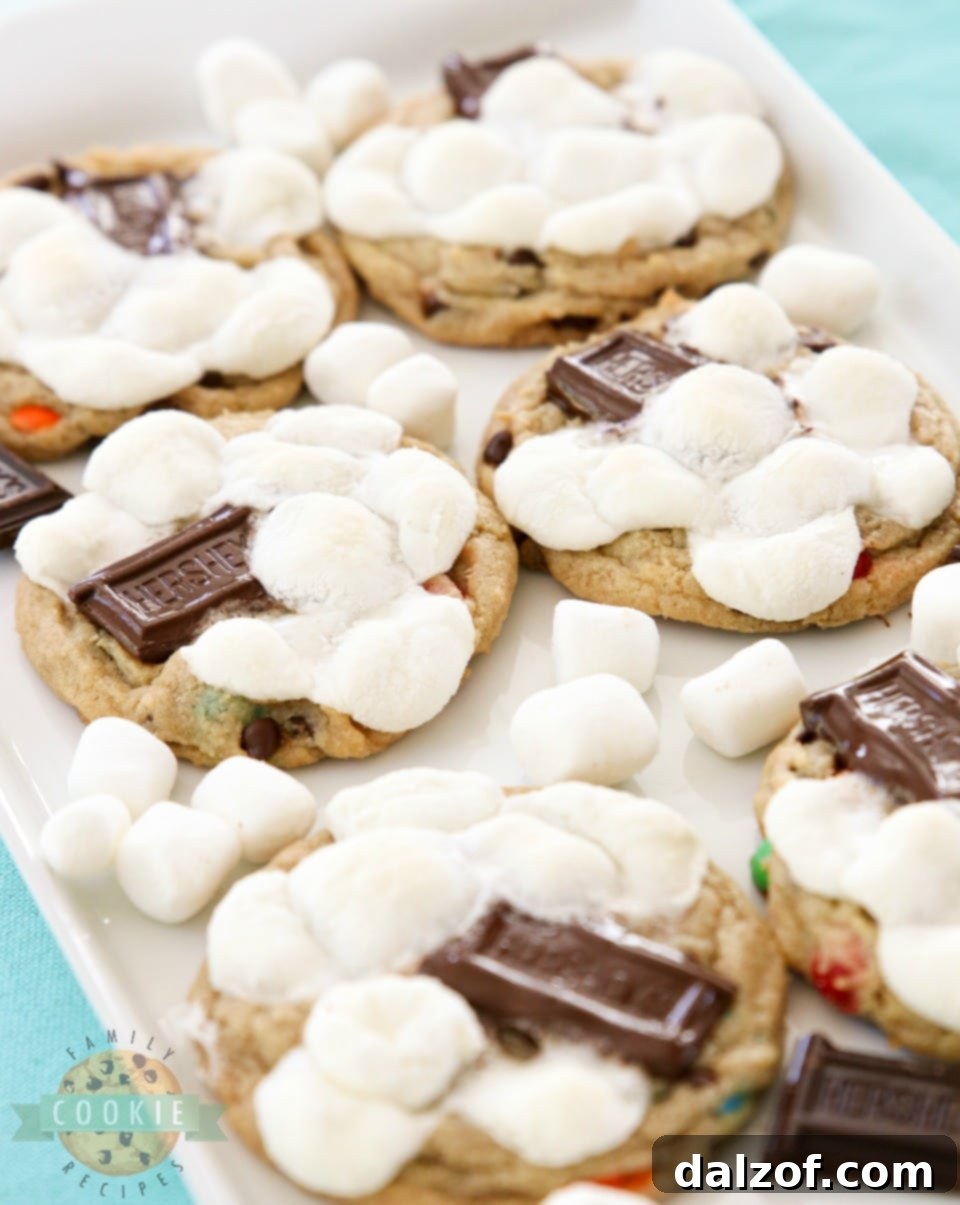 Can you freeze S'mores Chocolate Chip Cookies?