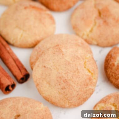 platter with cake mix snickerdoodles