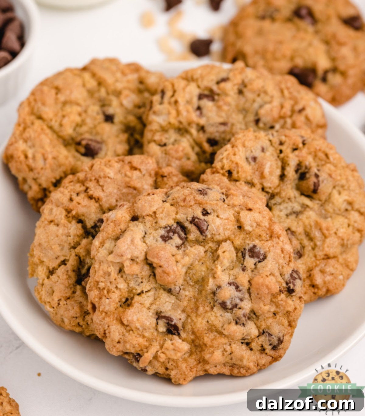 Rice Krispie Crunch Chocolate Chip Cookies 2 Rice Krispie Chocolate Chip Cookies on a cooling rack