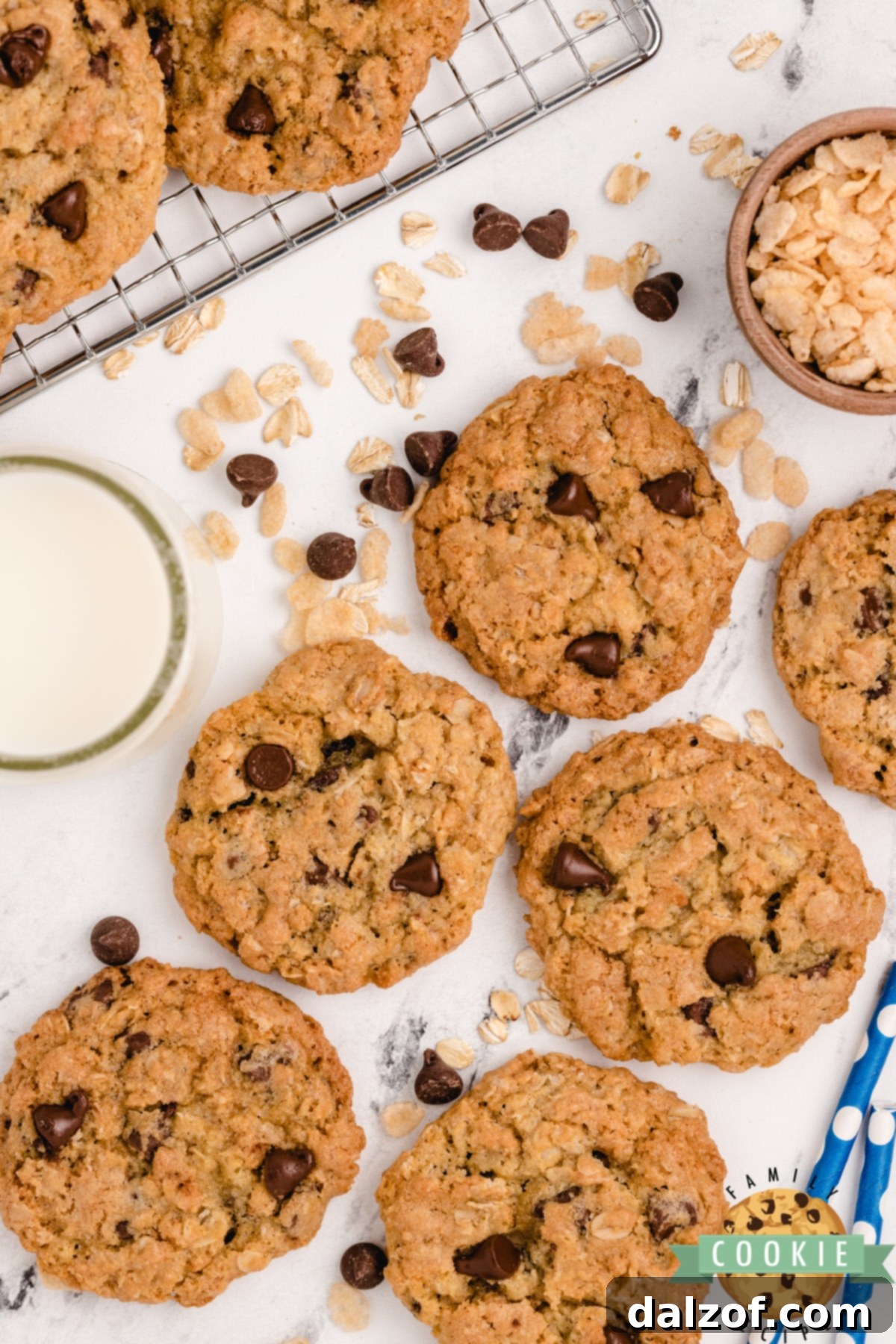 Rice Krispie Crunch Chocolate Chip Cookies 12 Cookies with oats, crispy rice cereal and chocolate chips