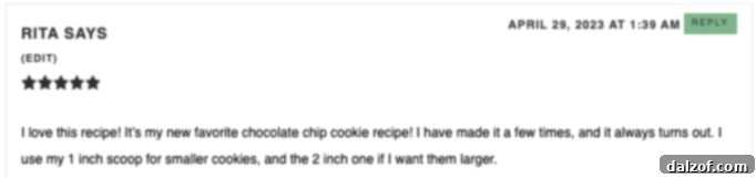 Rice Krispie Crunch Chocolate Chip Cookies 4 Positive review for Rice Krispie Chocolate Chip Cookies