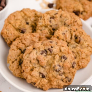 Rice Krispie Crunch Chocolate Chip Cookies 10 Rice Krispie Chocolate Chip Cookies