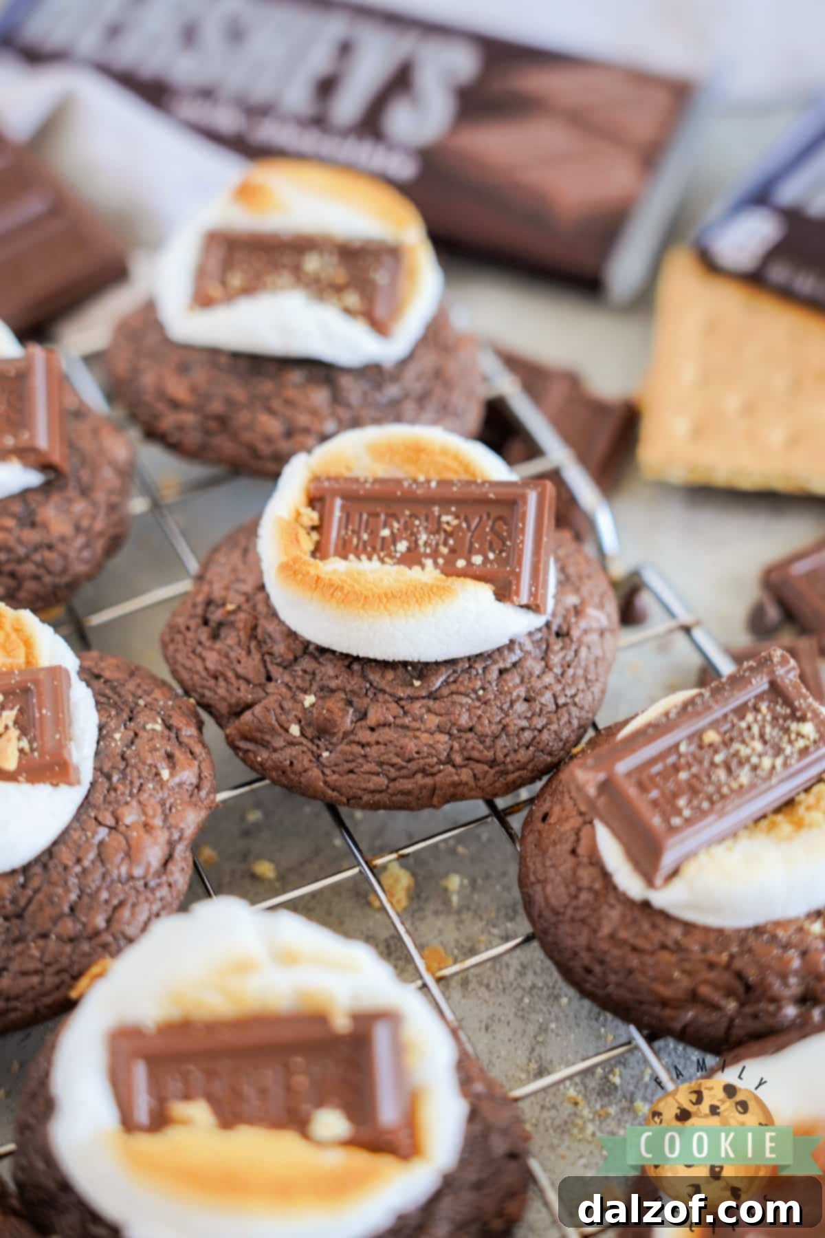 S'mores Brownie Mix Cookies 13 A close-up view of S'mores Brownie Cookies arranged on a wire rack, showcasing their irresistible layers.