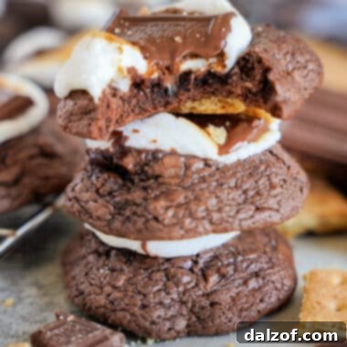 S'mores Brownie Mix Cookies 14 A delicious S'mores Brownie Mix Cookie, featuring a fudgy brownie base, toasted marshmallow, and melted chocolate, all on a graham cracker.