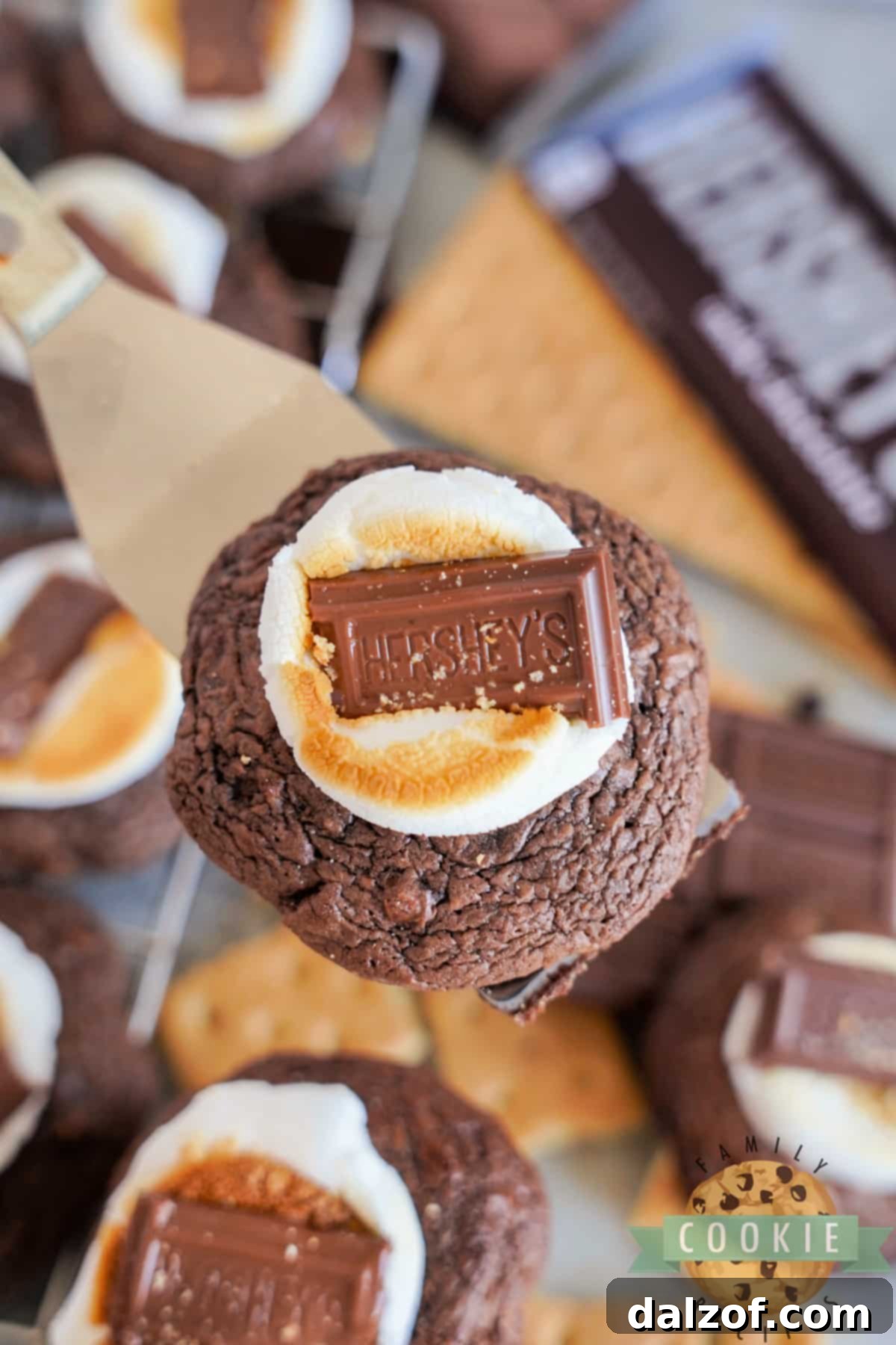 S'mores Brownie Mix Cookies 15 A tray of freshly baked S'mores Brownie Mix Cookies, ready to be enjoyed.