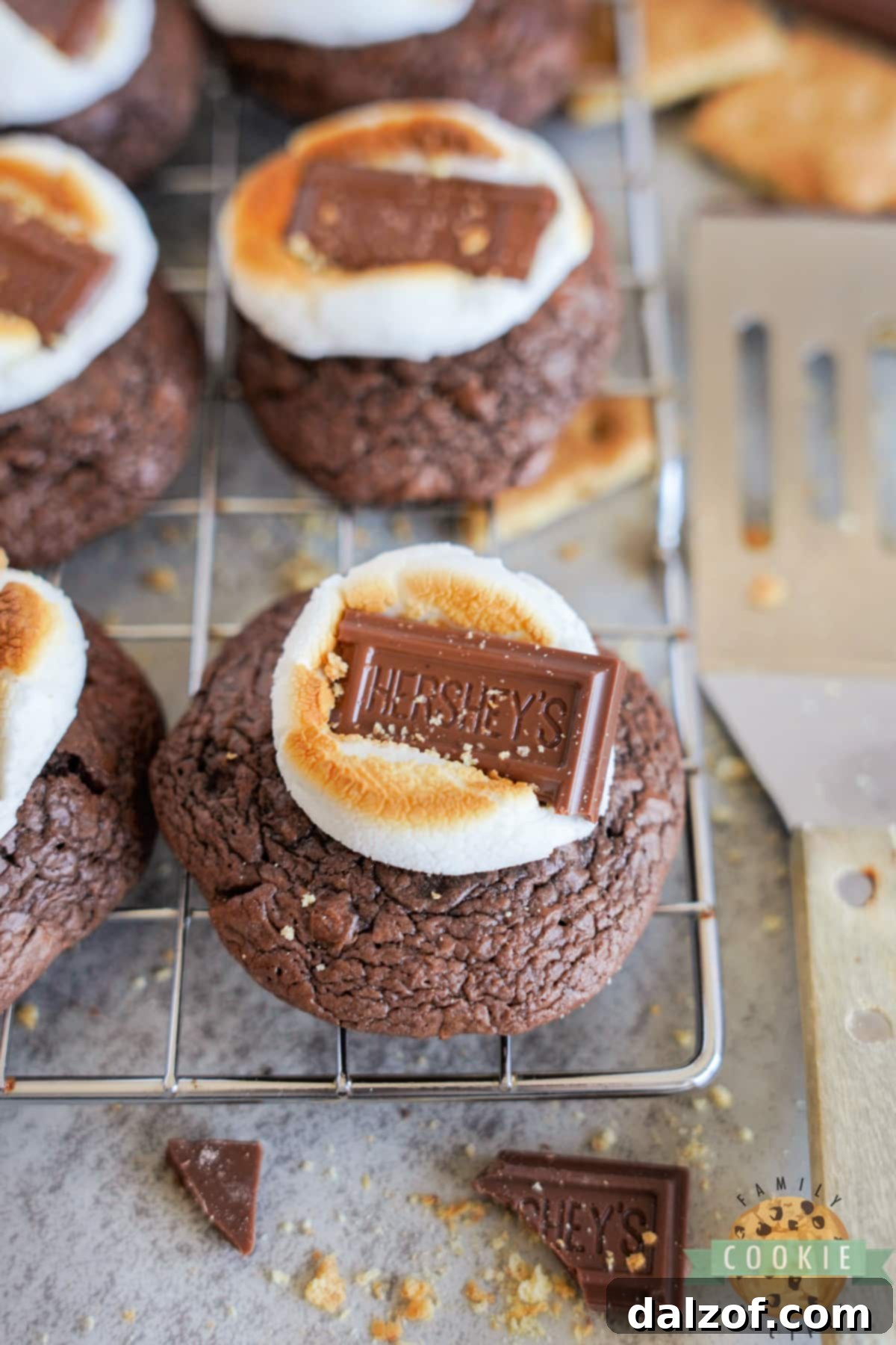 S'mores Brownie Mix Cookies 17 A close-up of a S'mores Brownie Mix Cookie, highlighting the gooey marshmallow and rich chocolate on a graham cracker base.