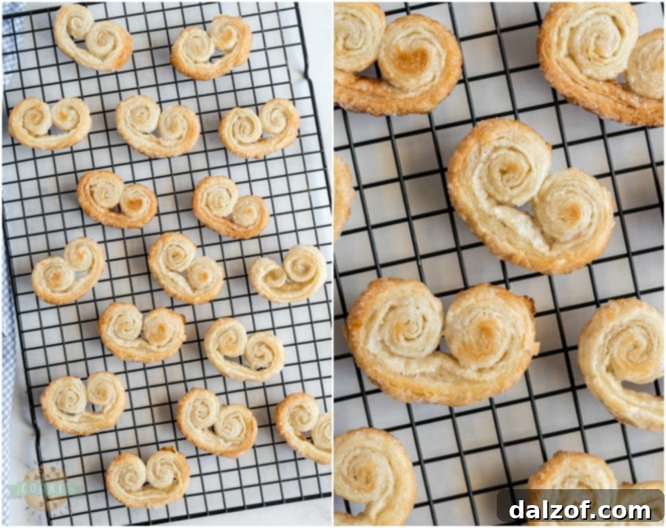 Easy Palmiers recipe, showing baked Palmiers on a cooling rack.