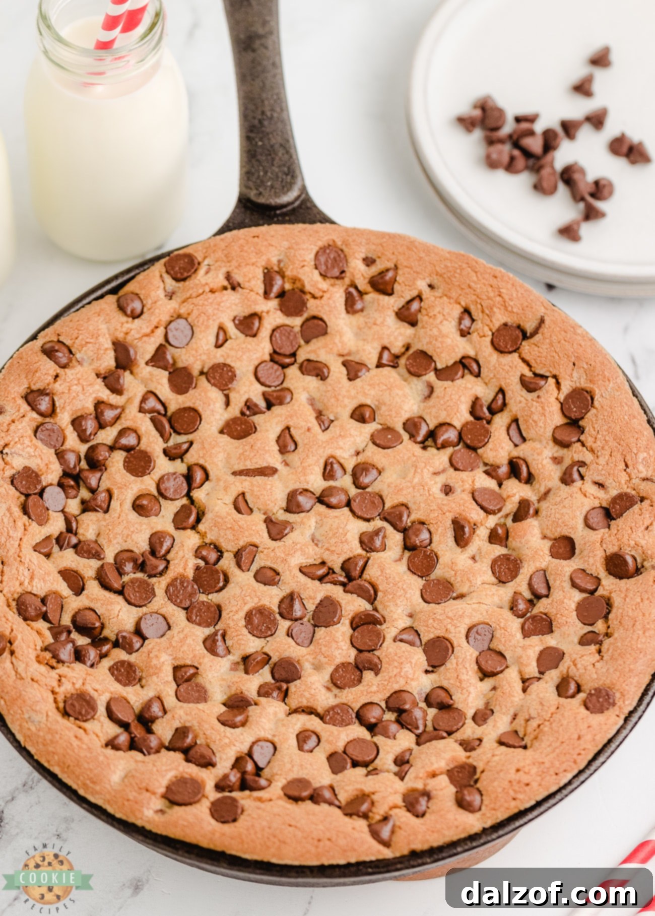 A freshly baked chocolate chip cookie in a cast iron skillet, golden brown and still warm.
