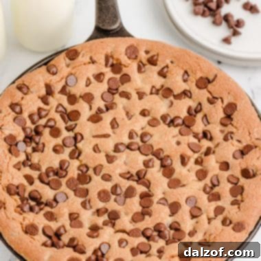 chocolate chip cookie baked in a cast iron skillet