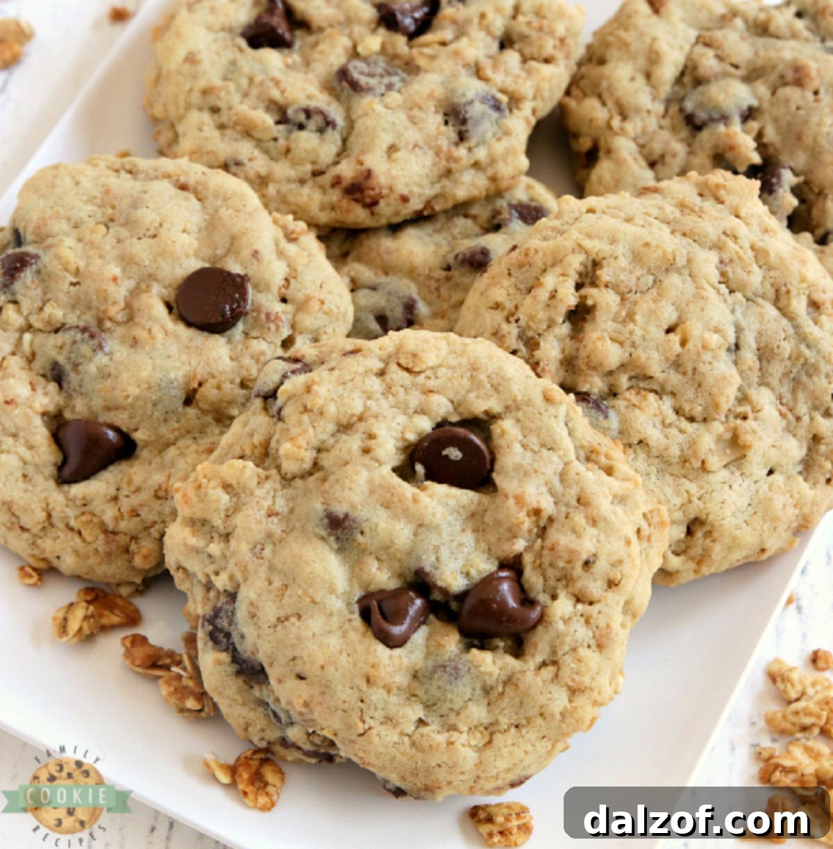 Granola Chocolate Chip Cookies are soft, chewy, and filled with oats, granola, and chocolate chips. A satisfying, higher-protein cookie!