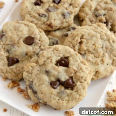 Granola Chocolate Chip Cookies