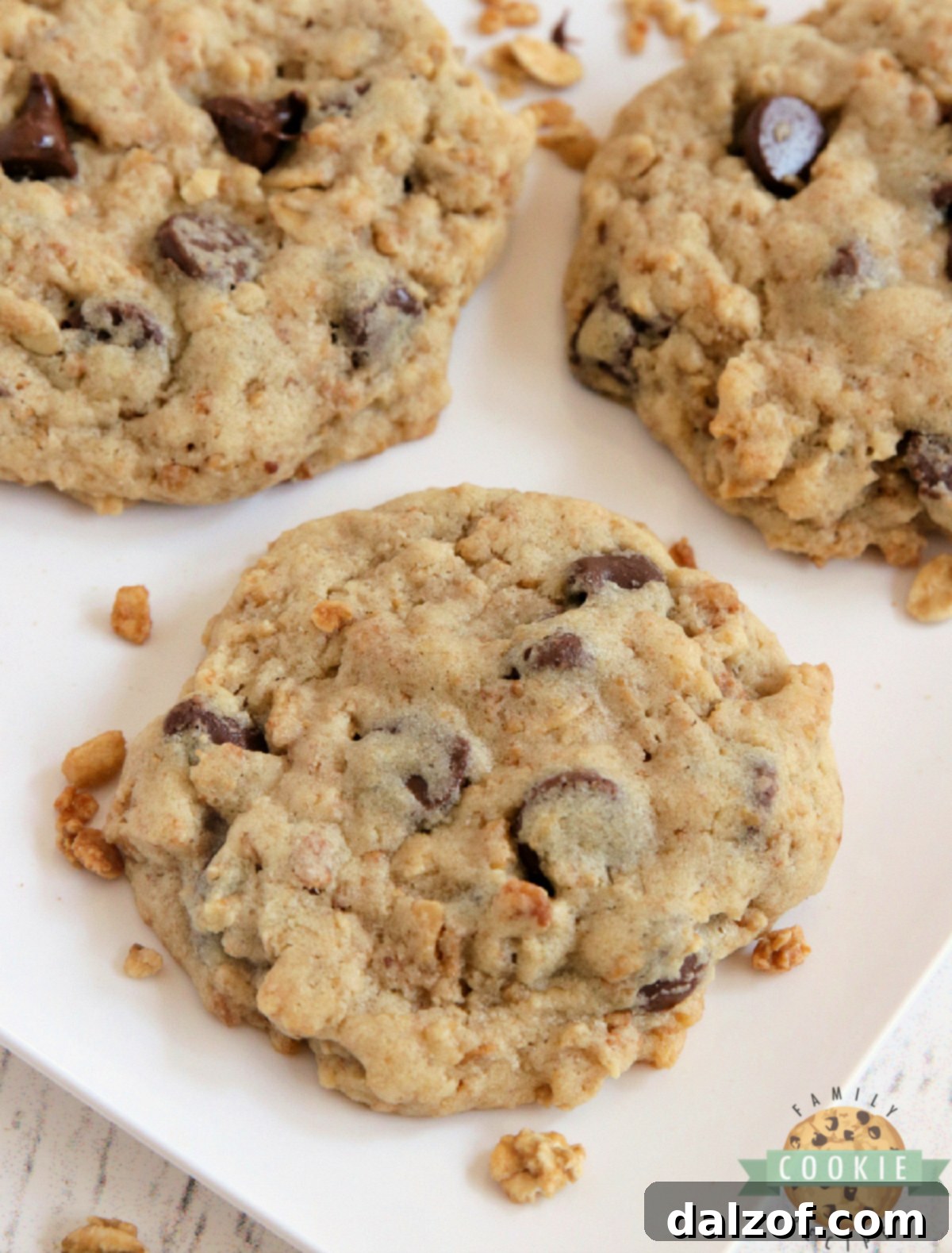Granola Chocolate Chip Cookies are soft, chewy, and filled with oats, granola, and chocolate chips. A satisfying, higher-protein cookie!