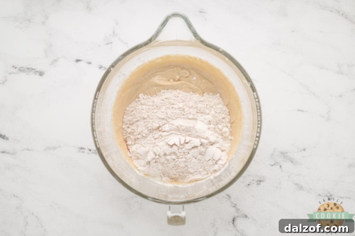 Add dry ingredients to cookie dough.