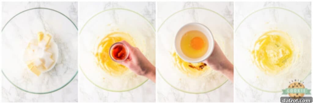 Butter and sugar being creamed together in a mixing bowl, followed by the addition of vanilla extract and egg for the cookie dough.