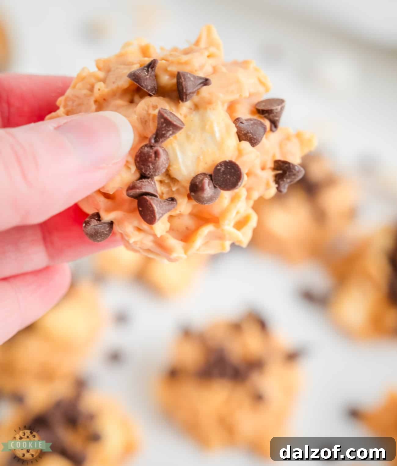 holding a peanut butter avalanche cookie
