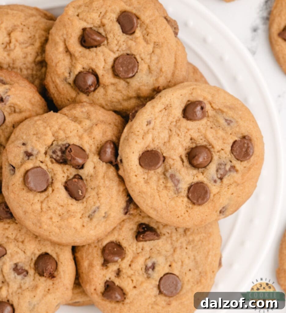 Deliciously soft and chewy Butterscotch Chocolate Chip Cookies, made with pudding mix, presented on a plate.