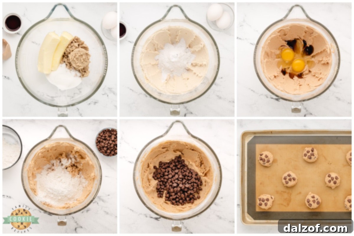 Step-by-step imagery demonstrating how to make Butterscotch Chocolate Chip Cookies, from mixing dough to scooping.