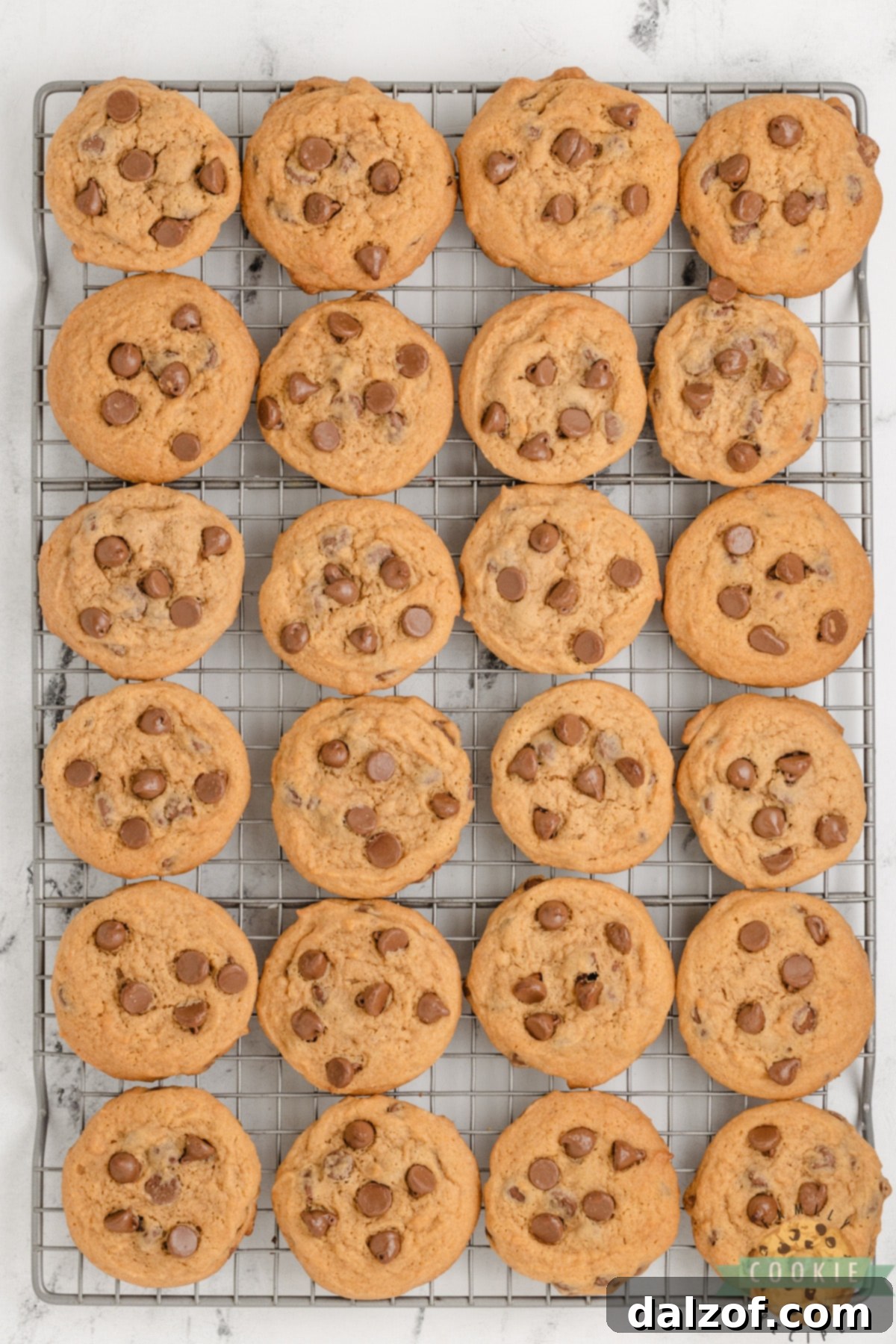 Freshly baked Butterscotch Chocolate Chip Cookies cooling on a wire rack, glistening with melted chocolate.