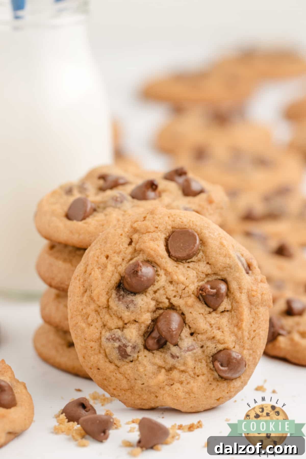 Close-up of a single, perfectly baked Butterscotch Chocolate Chip Cookie, showing its soft texture and chocolate chips.