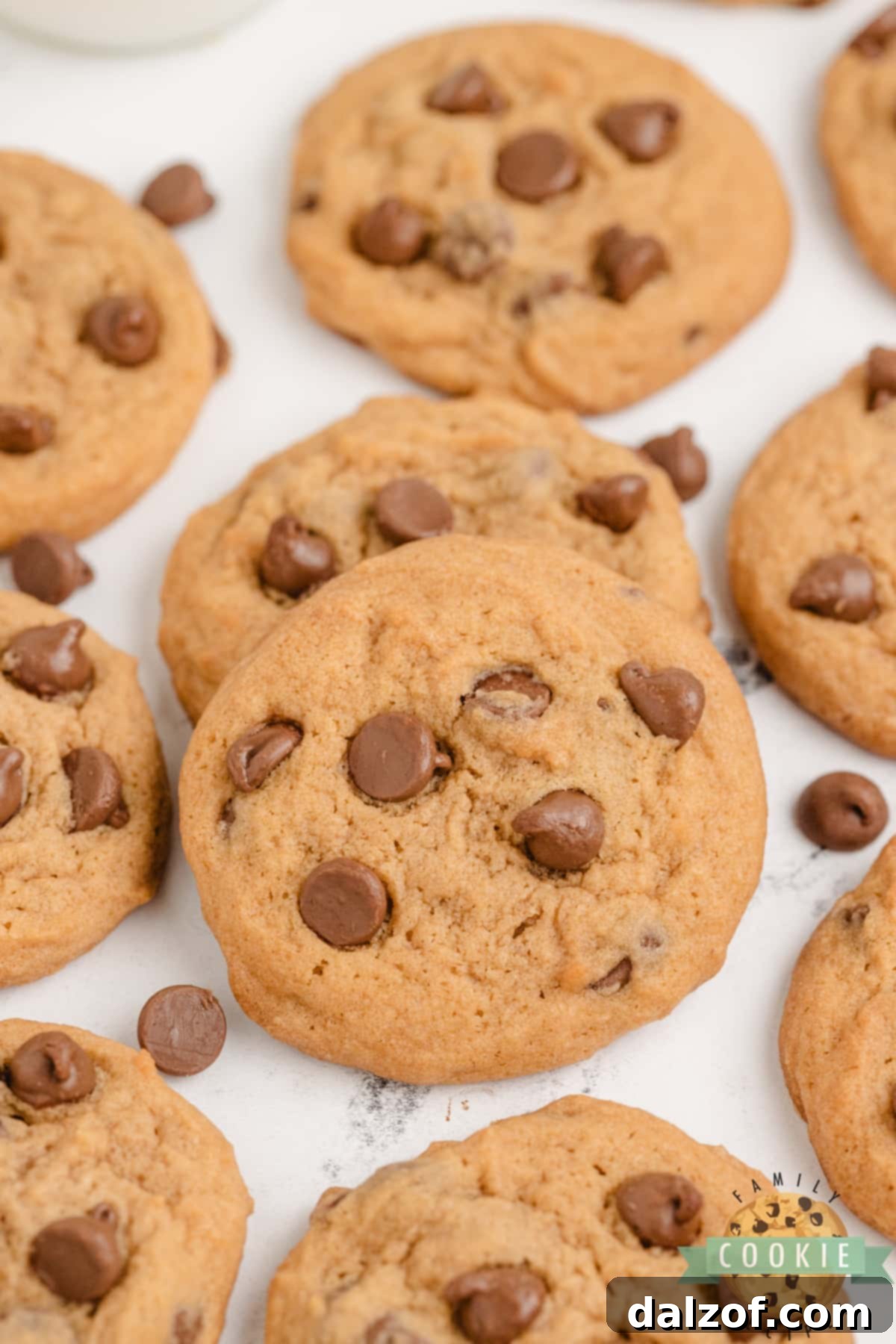 A festive arrangement of Butterscotch Chocolate Chip Cookies, ready to be enjoyed.
