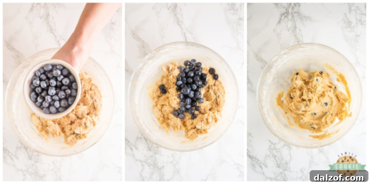 Fresh blueberries gently folded into the cookie dough with a spatula.