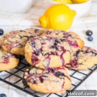 Lemon Blueberry Muffin Cookies - a delicious homemade treat.