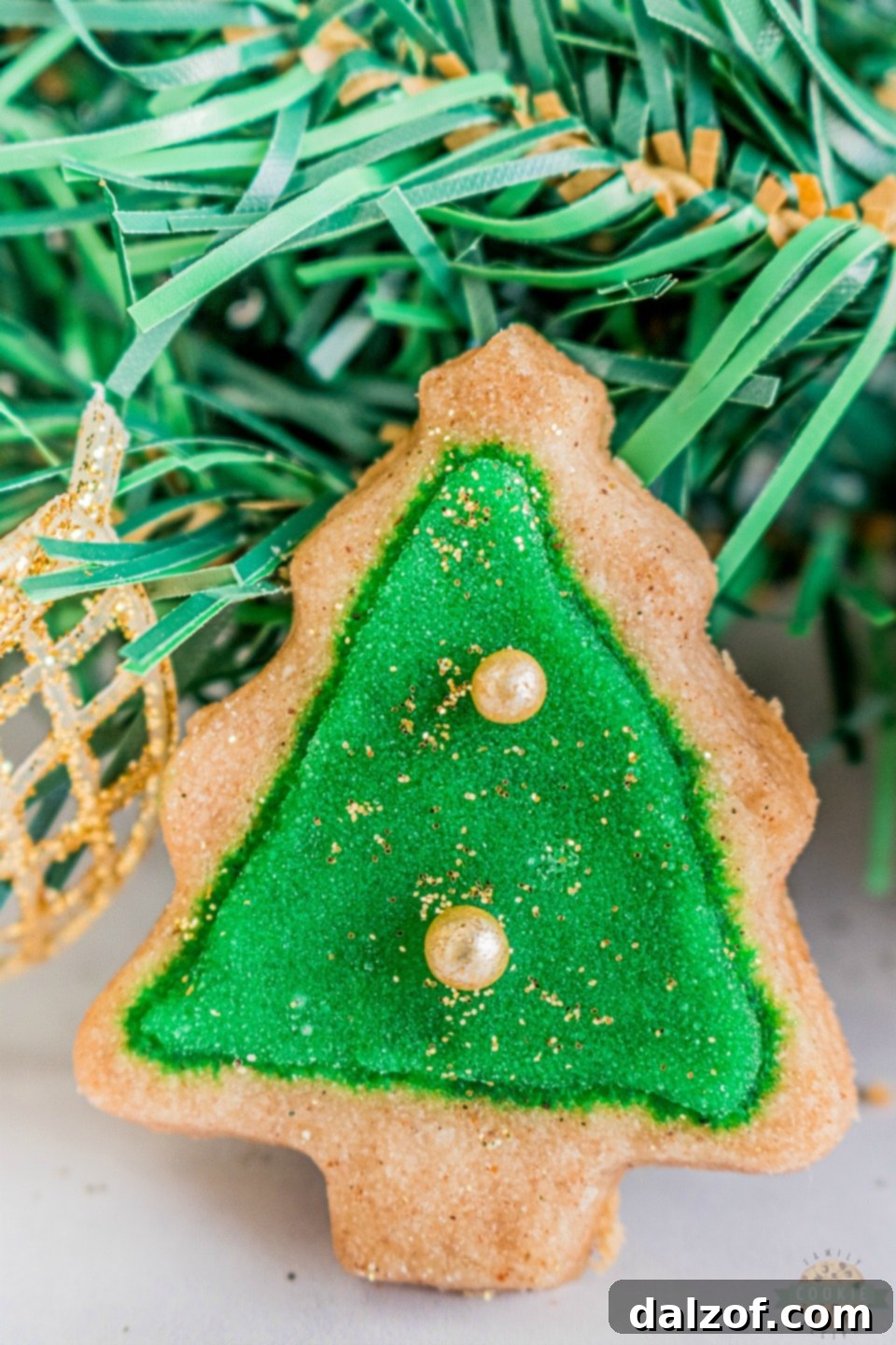Spiced Christmas Shortbread Cookies
