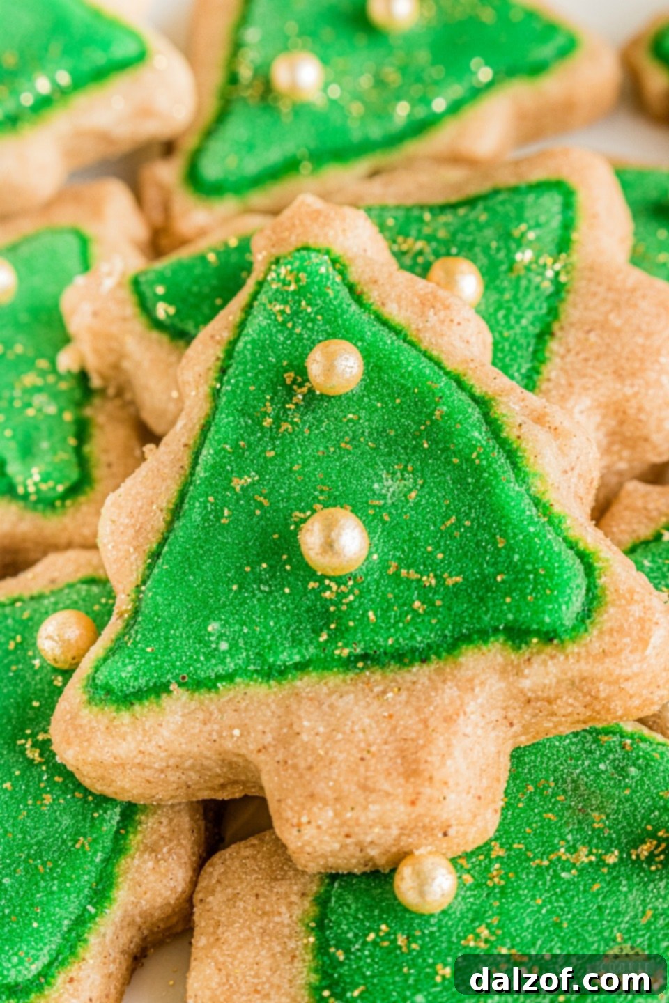 Spiced Christmas Shortbread Cookies