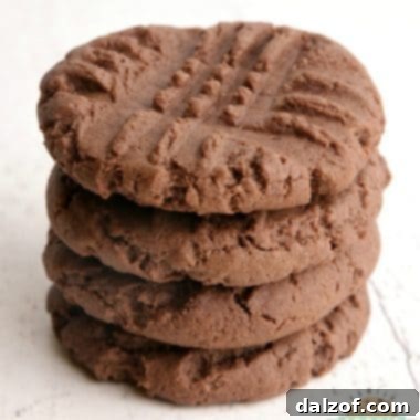 Chocolate Peanut Butter Cake Mix Cookies - A delectable treat